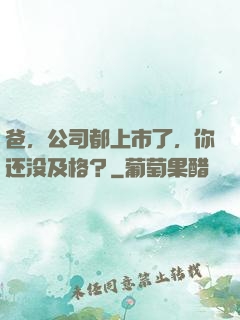 爸，公司都上市了，你还没及格？