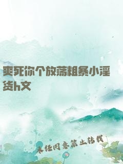 爽死你个放荡粗暴小淫货h文