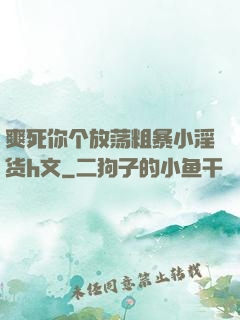 爽死你个放荡粗暴小淫货h文