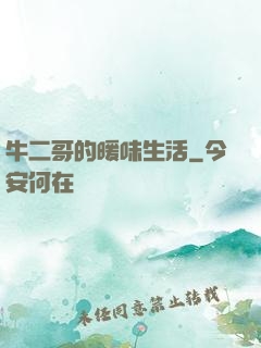 牛二哥的暖味生活
