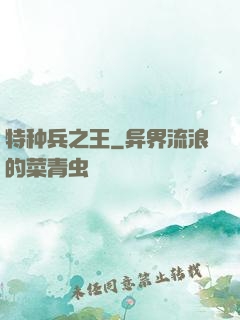 特种兵之王