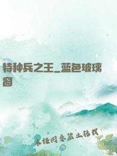 特种兵之王