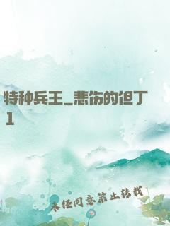 特种兵王
