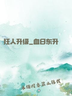 狂人升级