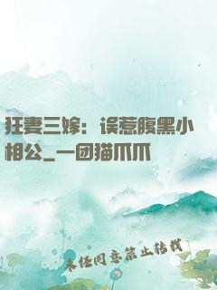 狂妻三嫁：误惹腹黑小相公