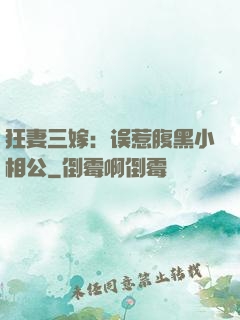 狂妻三嫁：误惹腹黑小相公