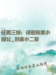 狂妻三嫁：误惹腹黑小相公