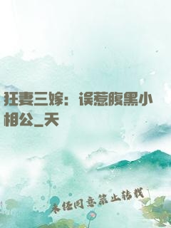 狂妻三嫁：误惹腹黑小相公