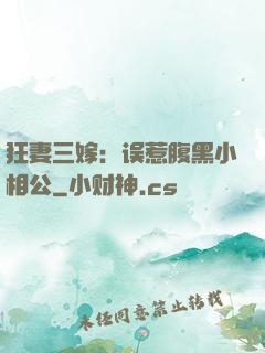 狂妻三嫁：误惹腹黑小相公