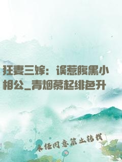 狂妻三嫁：误惹腹黑小相公