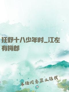 狂野十八少年时