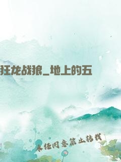 狂龙战狼