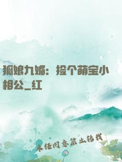 狐娘九媚：捡个萌宝小相公