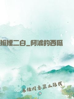 狐狸二白