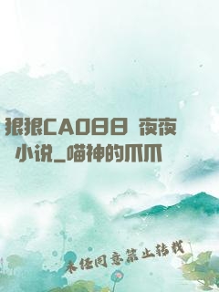 狠狠CAO日日穞夜夜穞小说