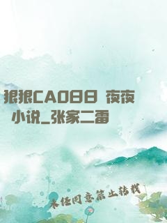 狠狠CAO日日穞夜夜穞小说