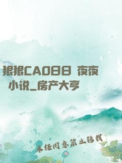 狠狠CAO日日穞夜夜穞小说