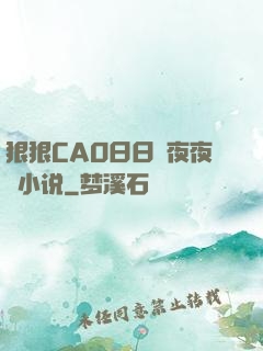 狠狠CAO日日穞夜夜穞小说