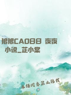 狠狠CAO日日穞夜夜穞小说