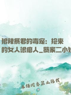 狠辣暴君的毒宠：抢来的女人很磨人