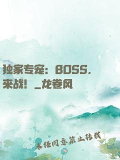 独家专宠：BOSS，来战！