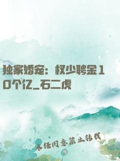独家婚宠：权少聘金10个亿