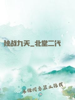 独战九天