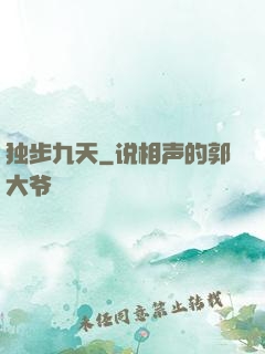 独步九天