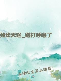 独步天途