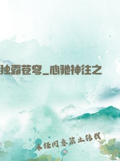 独霸苍穹