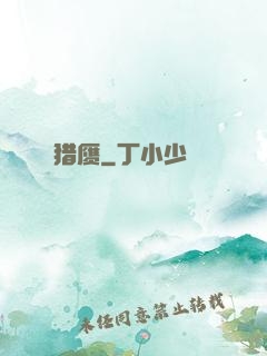 猎赝
