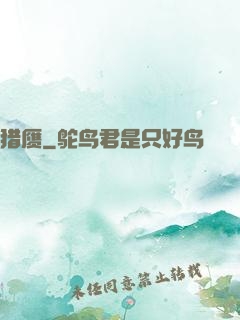 猎赝
