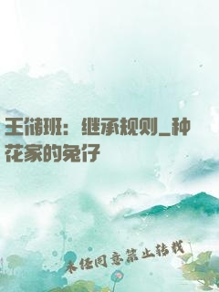 王储班：继承规则