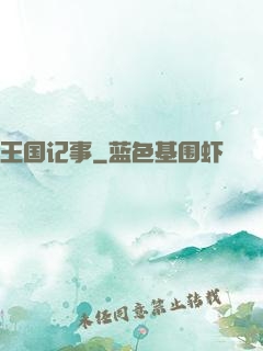 王国记事