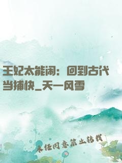 王妃太能闹：回到古代当捕快