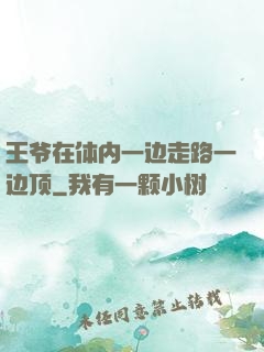 王爷在体内一边走路一边顶
