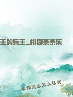王牌兵王