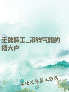 王牌特工