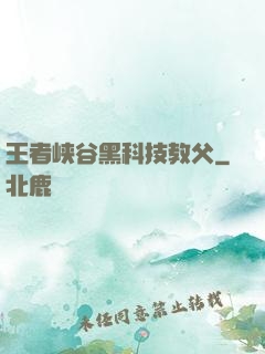 王者峡谷黑科技教父