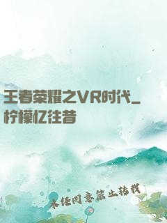 王者荣耀之VR时代