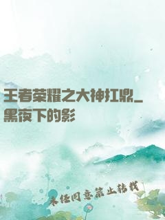 王者荣耀之大神扛鼎