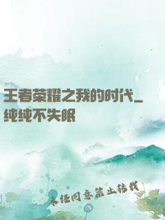 王者荣耀之我的时代