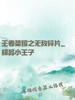 王者荣耀之无敌碎片
