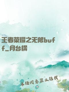 王者荣耀之无限buff