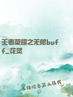 王者荣耀之无限buff