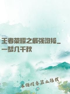 王者荣耀之最强微操