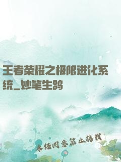 王者荣耀之极限进化系统
