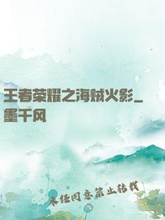 王者荣耀之海贼火影