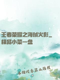 王者荣耀之海贼火影