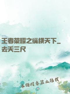 王者荣耀之纵横天下